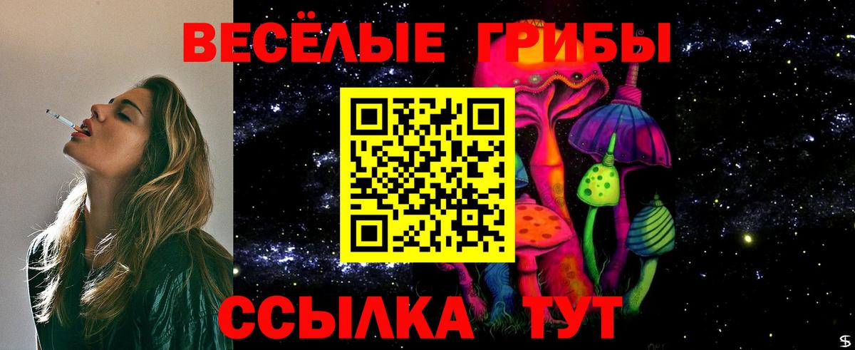 Псилоцибиновые грибы мицелий Киржач